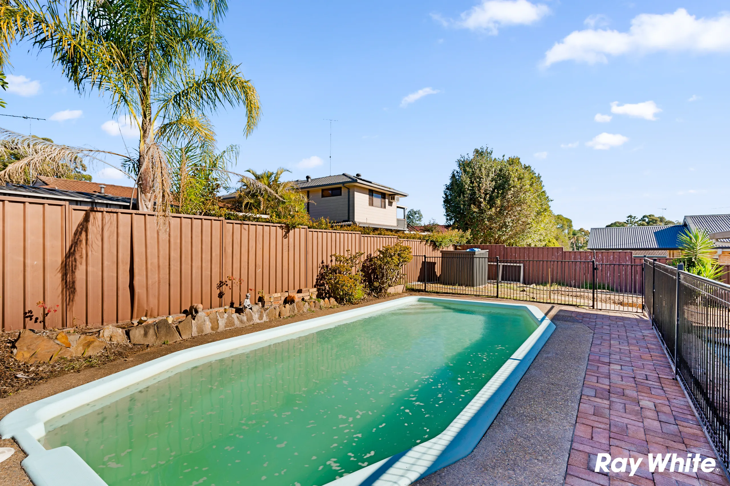 Existing backyard pool